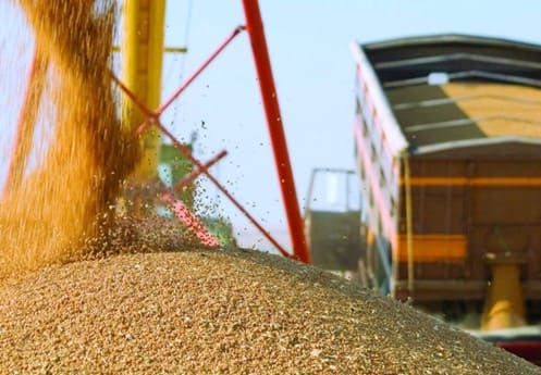 Експорт зернових з України становить 47 млн тонн з початку 2021-2022 МР, - Держмитслужба