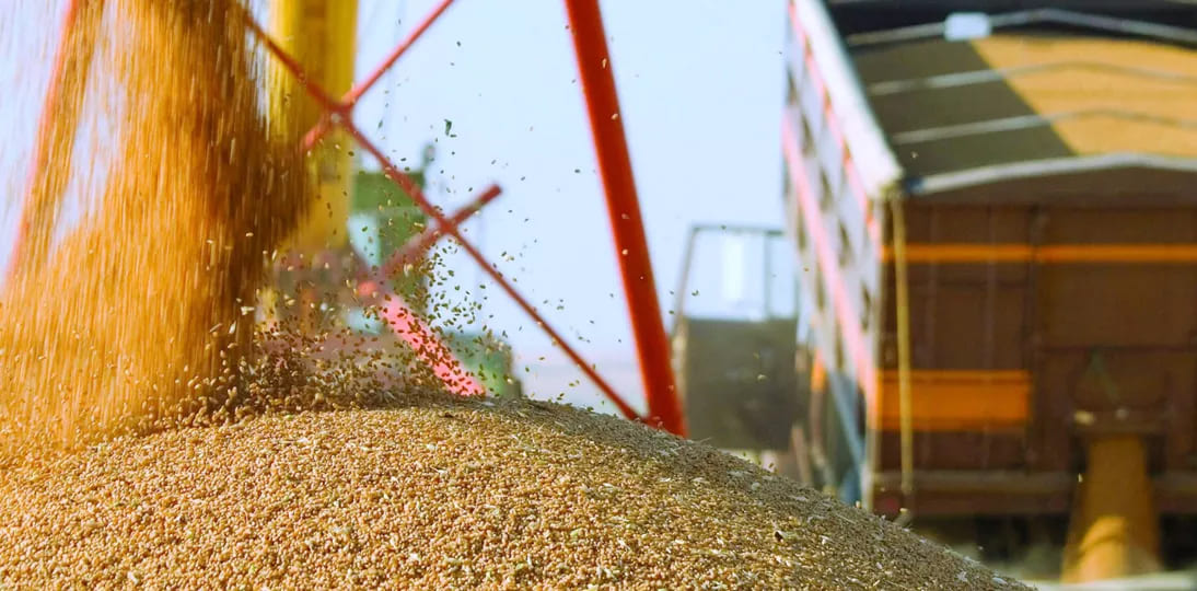 Експорт зерна відстає від графіку минулого сезону на 40%