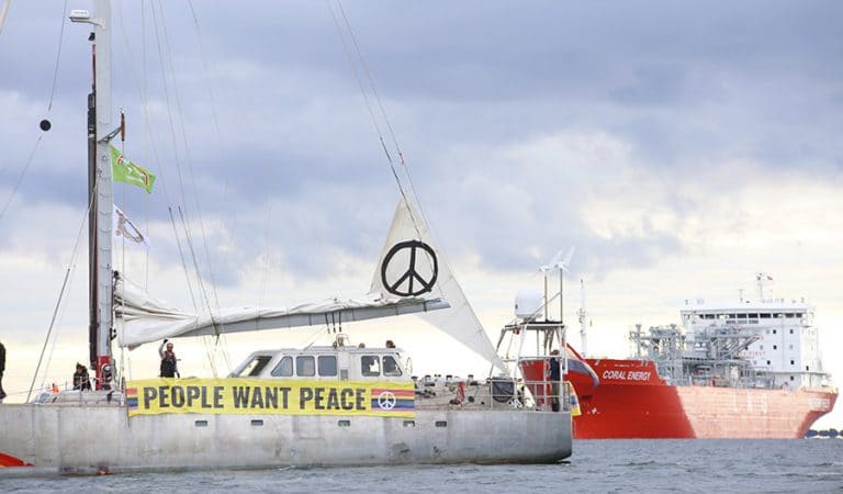 Шведські активісти Greenpeace перешкодили розвантаженню судна з рф
