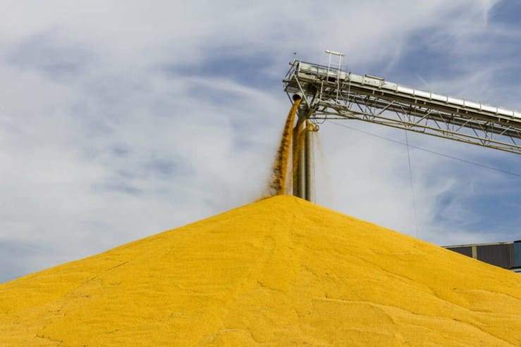 Експорт зерна відстає від графіка минулого сезону на 43%