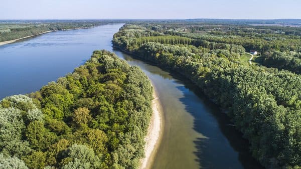 УДП відреагувало на вихід Росії з угоди про «зерновий коридор» запуском проєкту «Дунайський зерновий шлях»